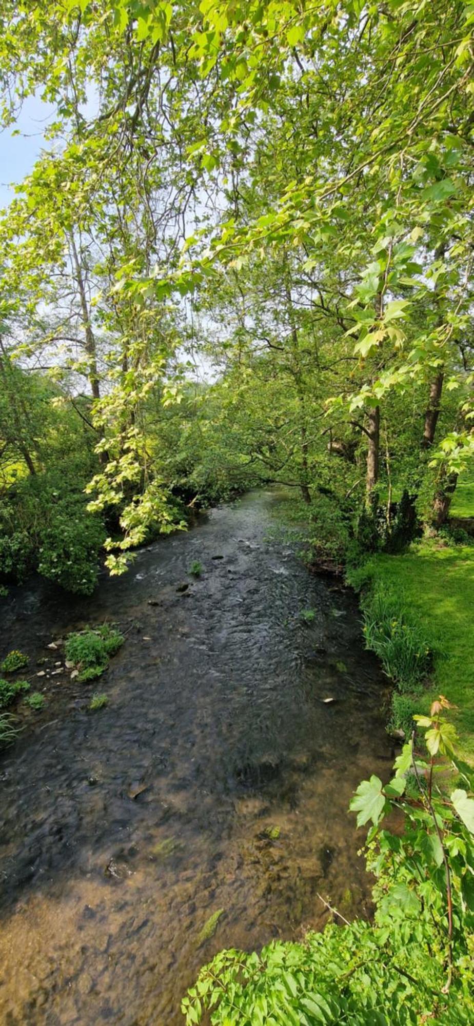 Le Tillois Tilly-sur-Seulles Exteriör bild